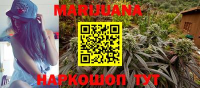 сатива Бузулук
