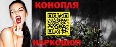 сатива Бузулук